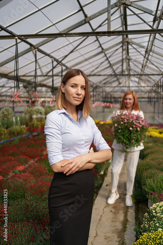 Smiling Greenhouse owner posing with folded arms having many flowers in background and a colleague holding a pot with pink chrysanthemums under glass roof © arthurhidden
