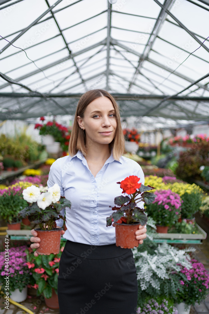 Smiling business owner in her nursery standing holding in hands two pots with red and white flowers in the greenhouse Smiling business owner in her nursery standing holding in hands two pots with red and white flowers in the greenhouse