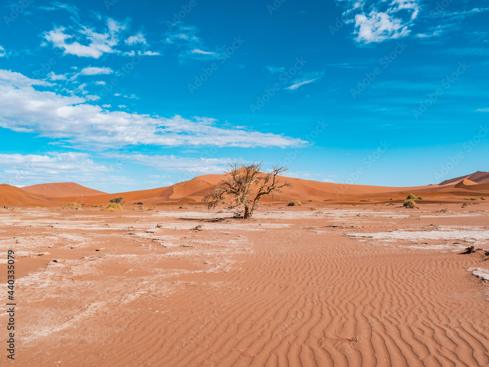 Footage of Desert of Namib, Namibia , Sossusvlei– Africa