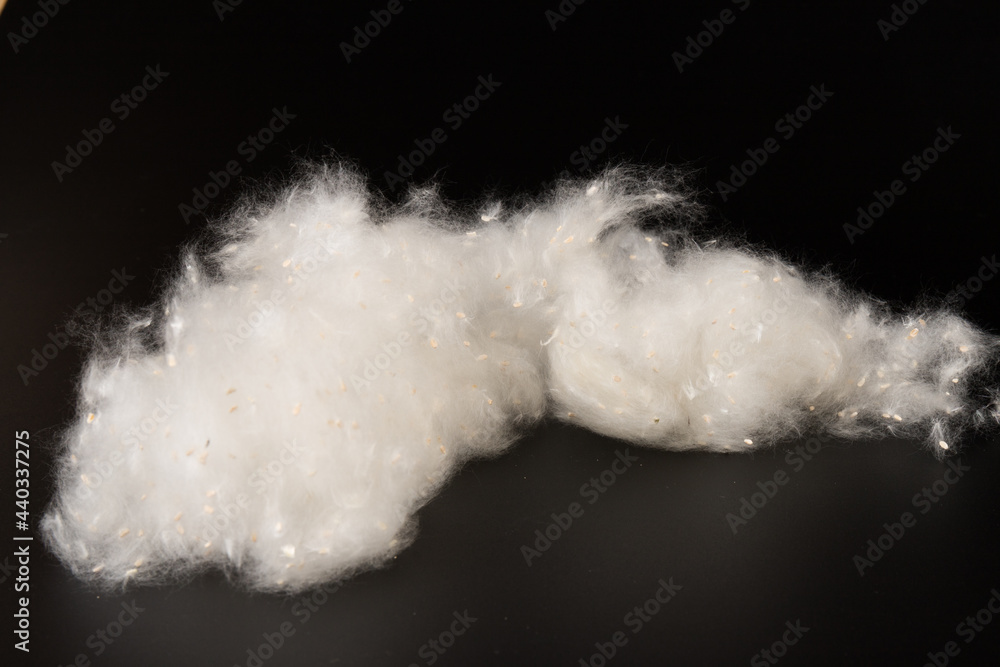 Fluff of poplar trees close-up. Allergy to poplar seeds. Fluff of poplar trees close-up. Allergy to poplar seeds.