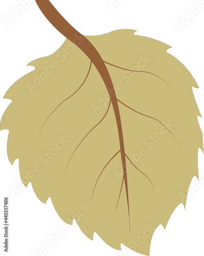 Simple autumn herbal element for design vector