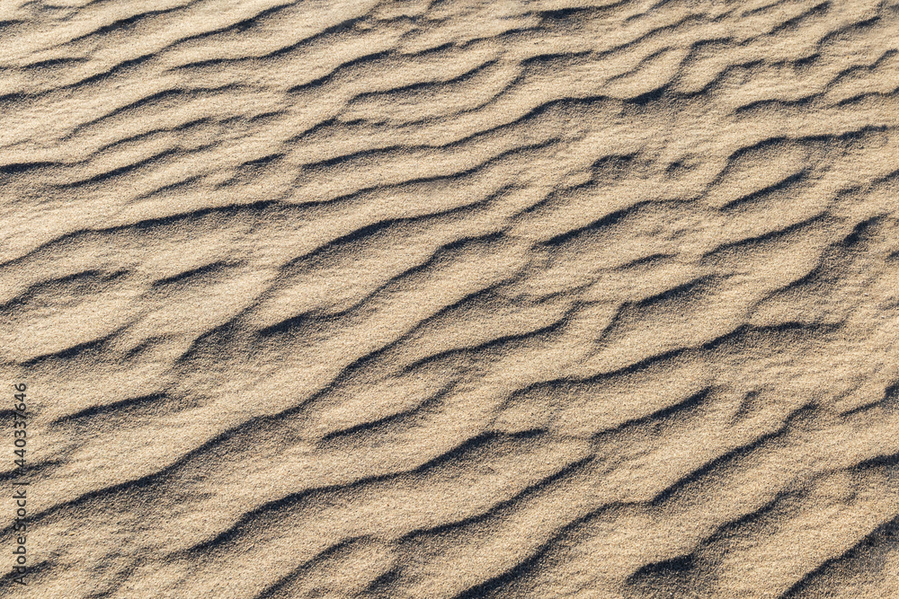 Patterns in sand created by the wind, Mesquite Dunes, Death Valley, California. Overall effect is a calm, flowing pattern, much like waves in a stiff breeze.
Patterns in sand created by the wind, Mesquite Dunes, Death Valley, California. Overall effect is a calm, flowing pattern, much like waves in a stiff breeze.