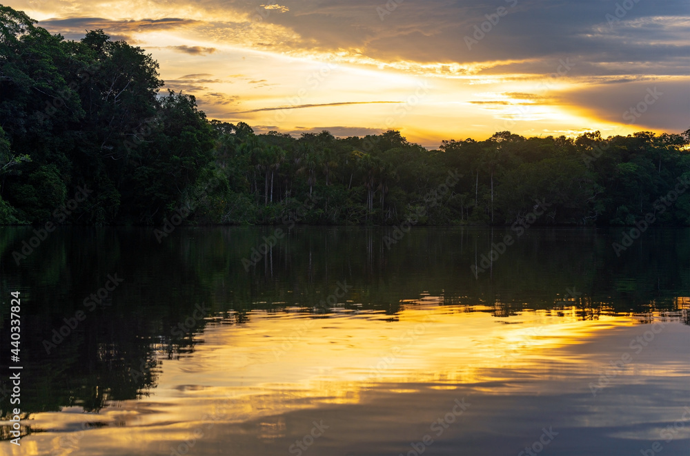 Obraz premium Amazon river rainforest sunset, Yasuni national park, Ecuador.