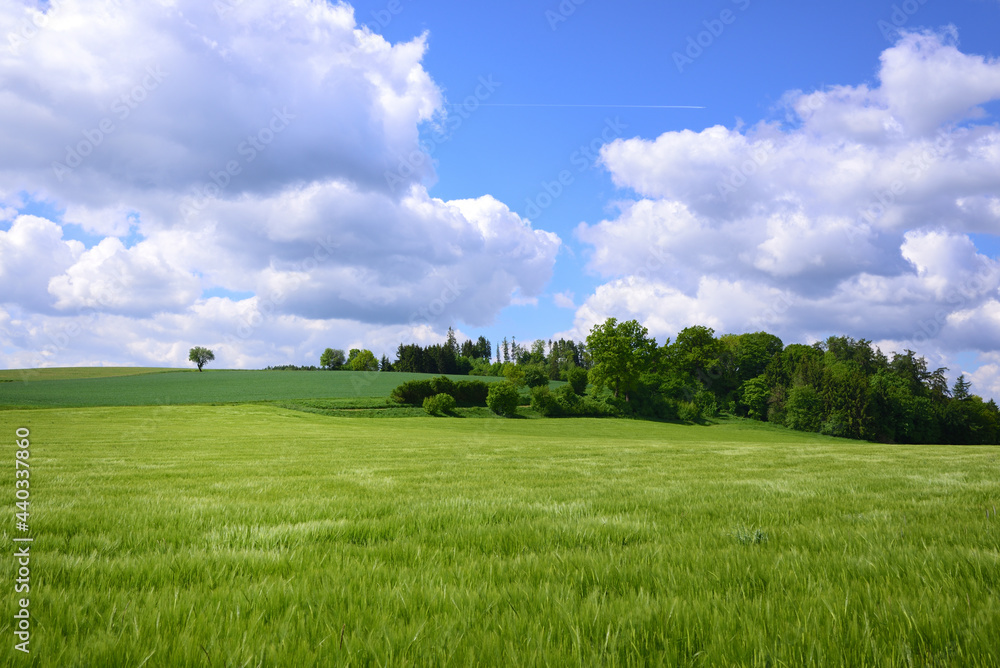 Landscape in Bavaria with rolling green hills in front of a blue sky with large clouds