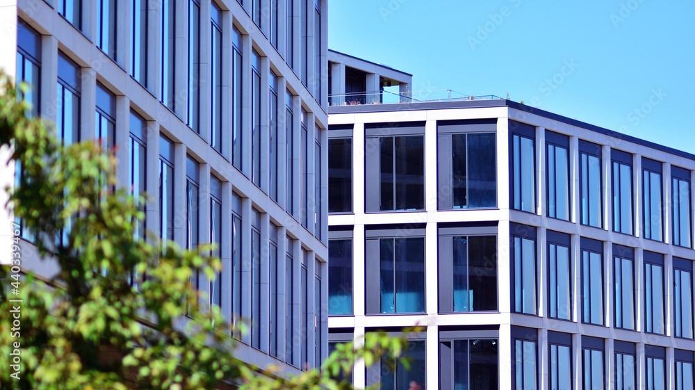 Eco architecture. Green tree and glass office building. The harmony of nature and modernity. Eco architecture. Green tree and glass office building. The harmony of nature and modernity.