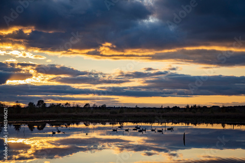 Wallpaper Mural See mit Enten nach Sonnenuntergang Torontodigital.ca