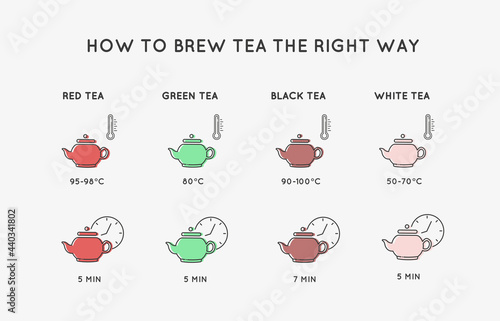 Line icons. Types of tea. How to brew tea correctly. Vector illustration.