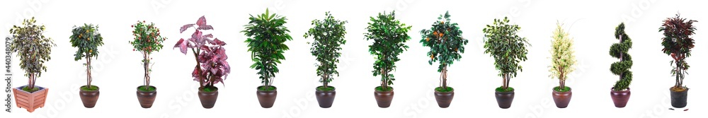  artificial trees. fake trees in pottery 
 and  wood pot isolated on white background
