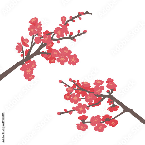 紅梅