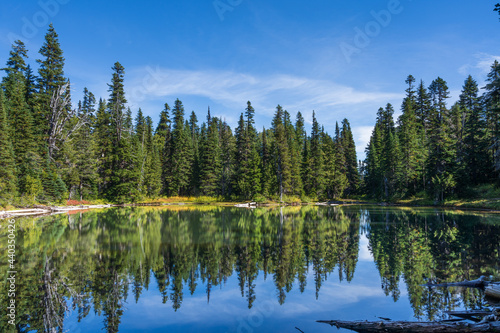 Palisades Lake Trail At Mount Rainier National Park