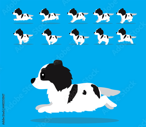 Animal Animation Sequence Dog Tornjak Cartoon