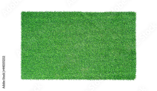 Green grass isolated on white background. Top view