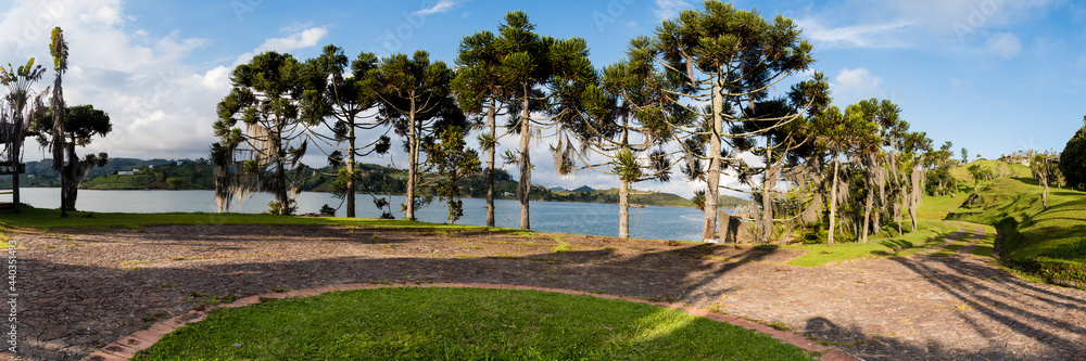 Man palm trees along a river. Panoramic view Man palm trees along a river. Panoramic view