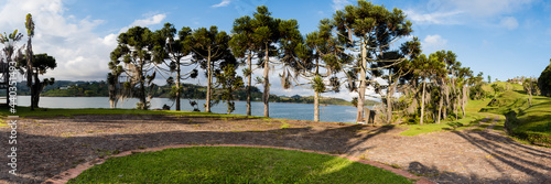 Tablou pe pânză Man palm trees along a river. Panoramic view