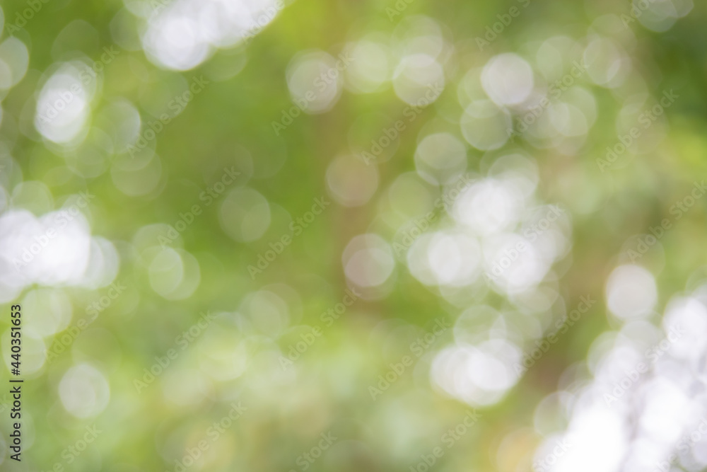 Abstract green nature bokeh background. Fresh natural healthy or bio concept.