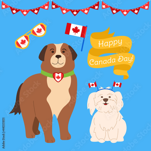 Canada Day cartoon set. Funny patriotic dogs with canadian flag balloon ribbon, glasses with maple leaf, garland bunting flat style. Festival Canada day, pet bernese mountain dog. Vector illustration