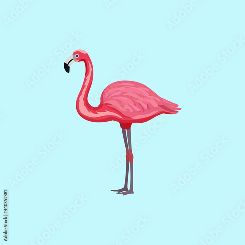 icon pink flamingo bird on b ue background.