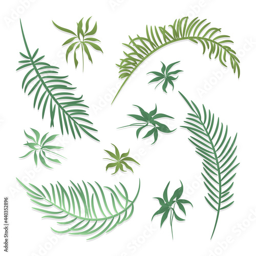 Palm Leaves element set with simple flat style
