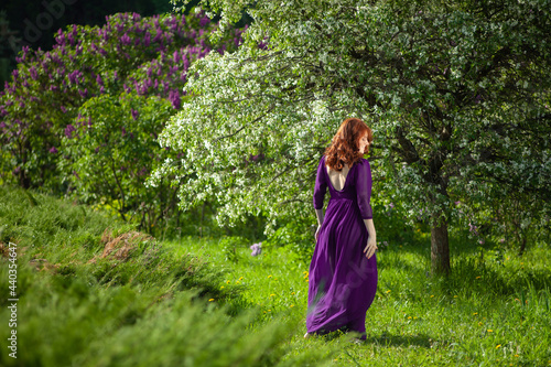 A beautiful young woman with red curly hair in a purple dress walking in a lilac garden in spring time.