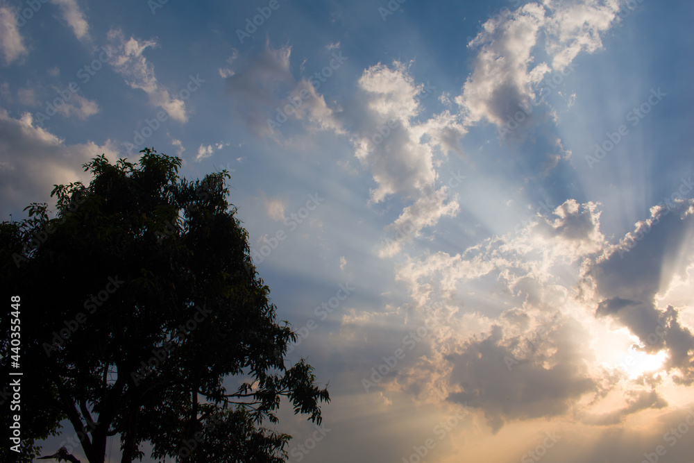 Golden hour picture of sun rays penetrating through cloud and mango tree on left