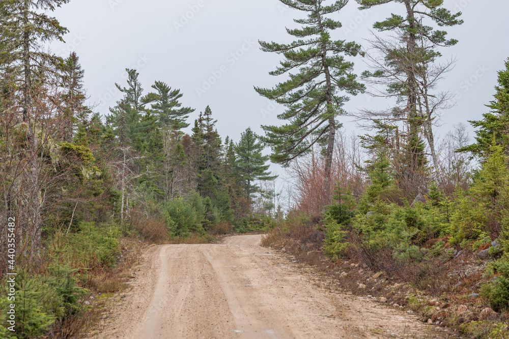 Wet Dirt road on crown land Wet Dirt road on crown land