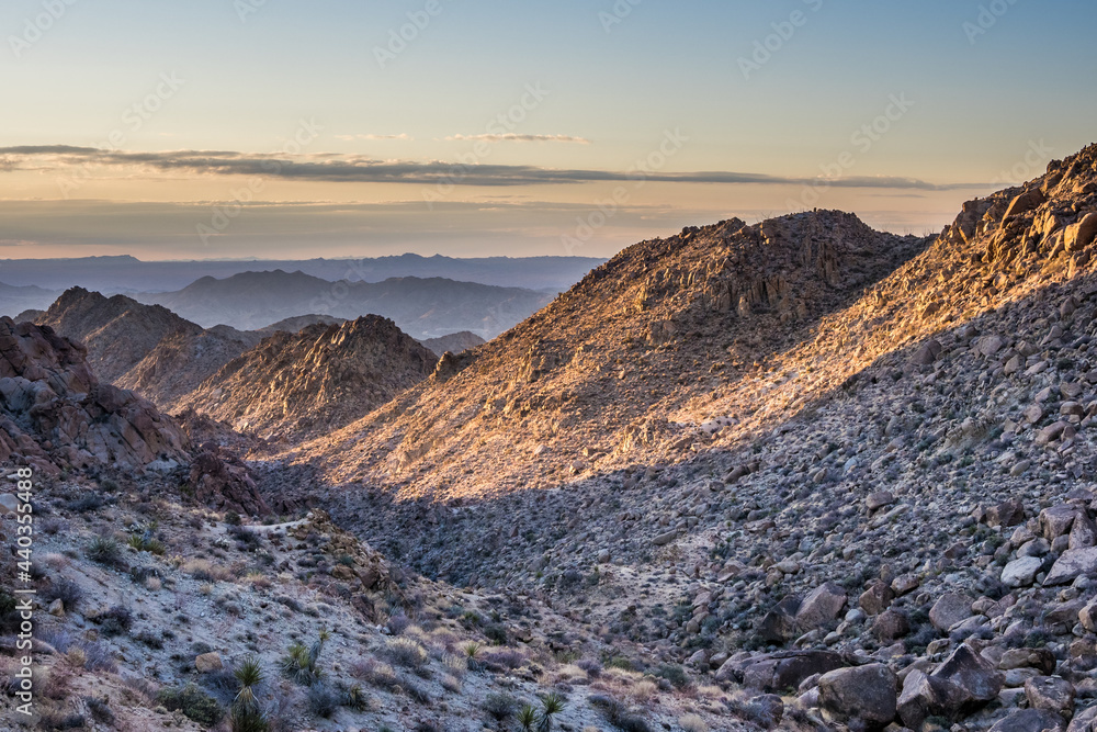 Early morning in Joshua Tree National Park Early morning in Joshua Tree National Park