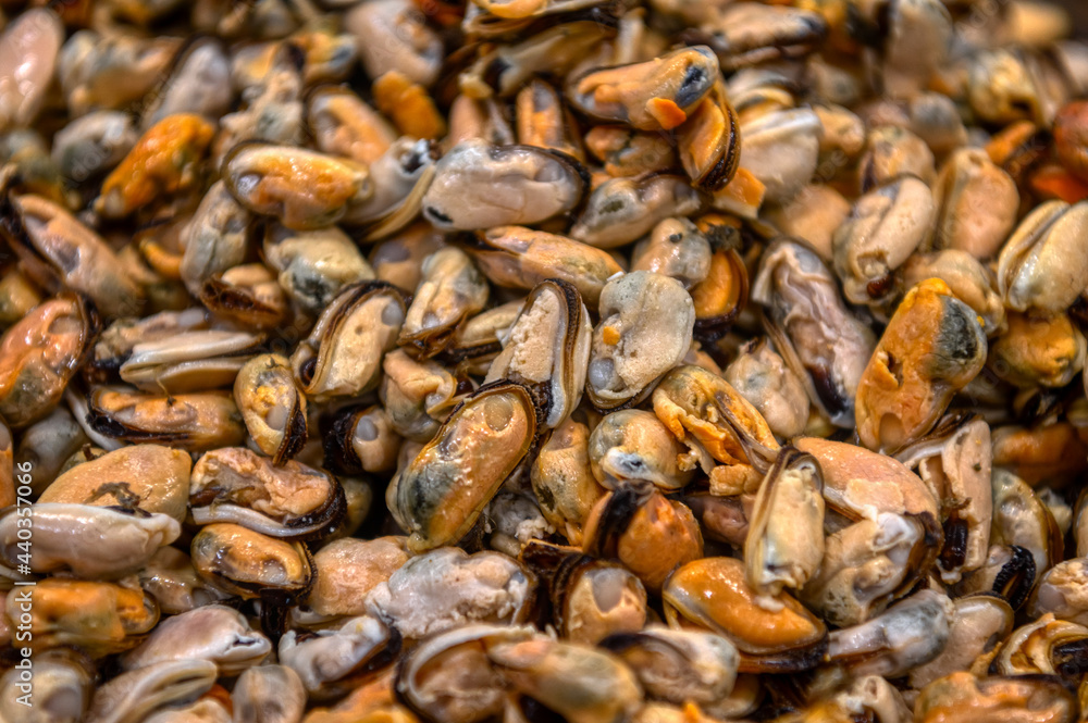 Lots of peeled mussels. Abstract background Lots of peeled mussels. Abstract background