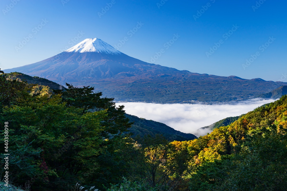 御坂峠から眺める秋の富士山と雲海に覆われた河口湖　山梨県富士河口湖町にて