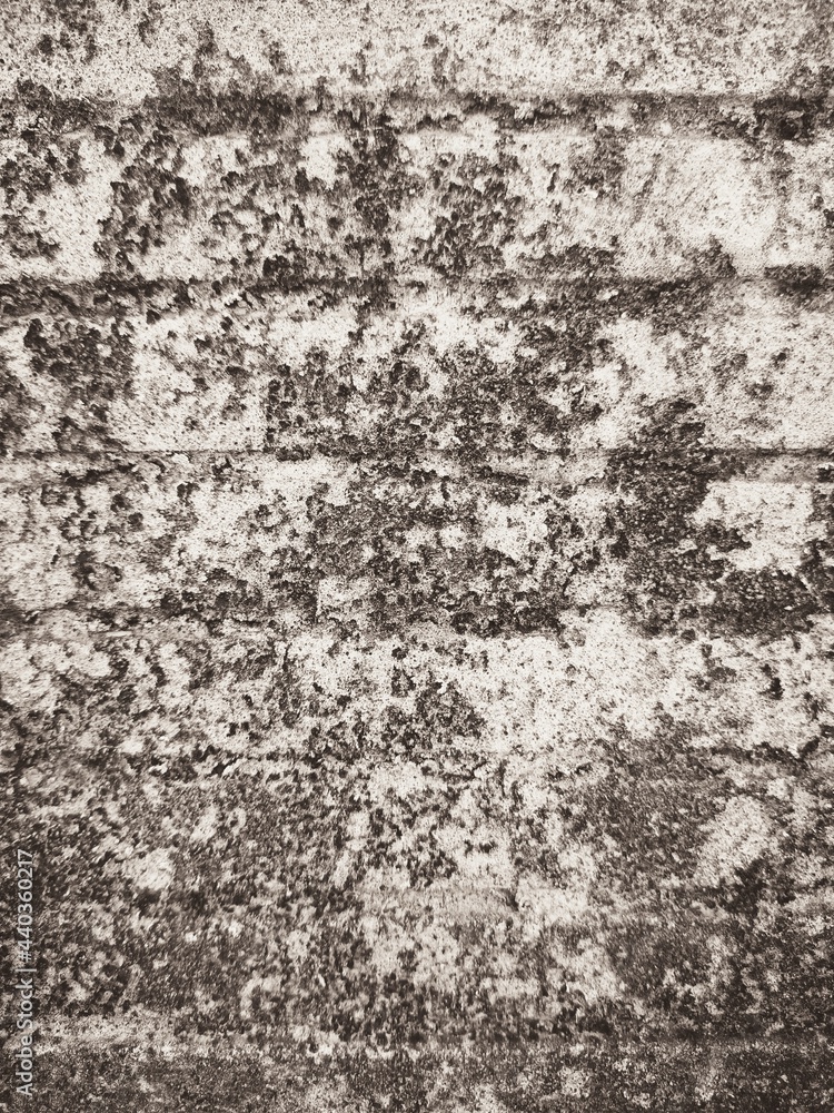 close up grunge wall as a background.