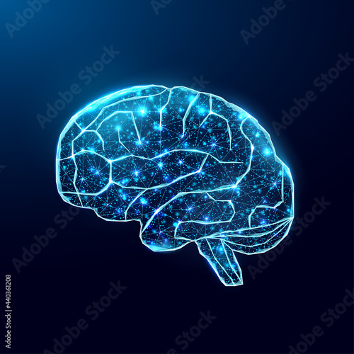Human brain. Wireframe low poly style. Concept for medical, brain cancer, neural network.  Abstract modern 3d vector illustration on dark blue background.