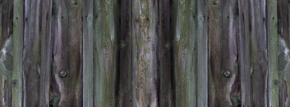 Wood texture surface with old natural pattern. Wood texture surface with old natural pattern.
