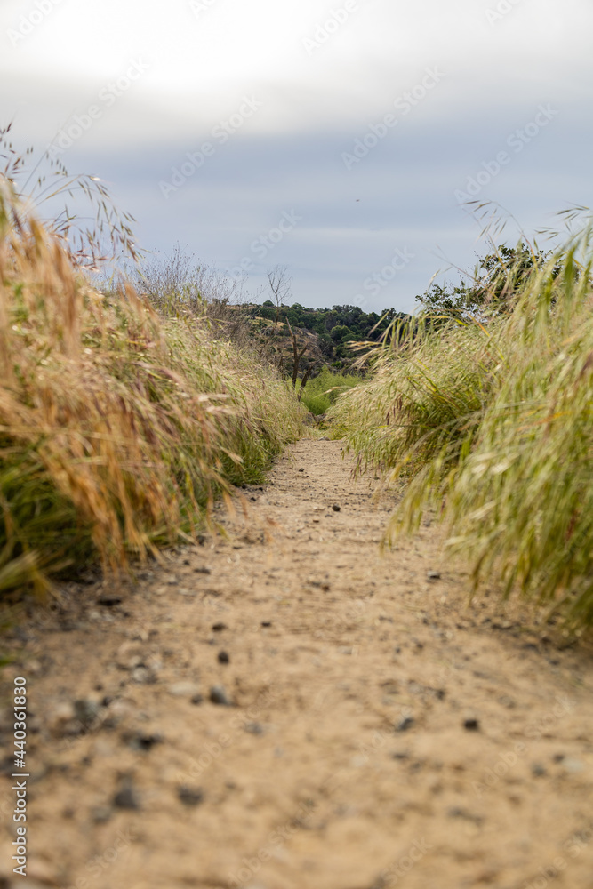 Dirt Hiking Trail in the Foothills of Knights Ferry, California. Dirt Hiking Trail in the Foothills of Knights Ferry, California.