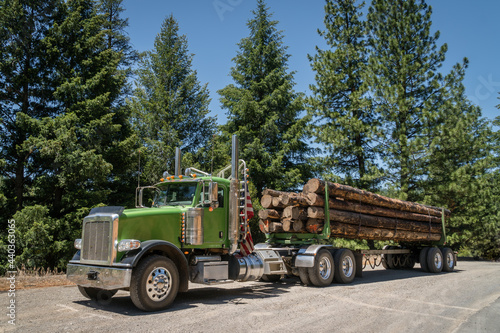 Logging truck loaded with previously burned trees being taken to lumber mill for processing into lumber for the booming housing construction market.