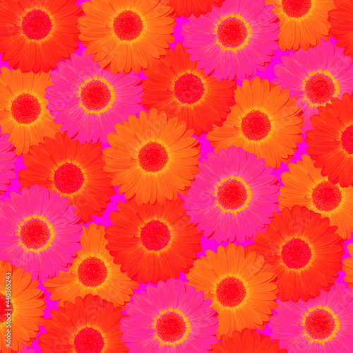 Pink orange gerbera flower pattern for background or graphic designe