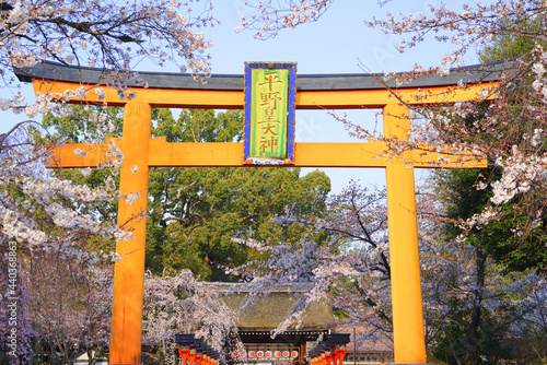 Hirano Shrine at Kyoto Pref., Japan photo