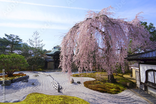 Japanese garden at Kodaiji Temple, Kyoto City, Kyoto Pref., Japan photo