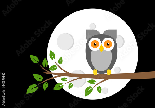 Owl on a Tree Branch at Night with Full Moon