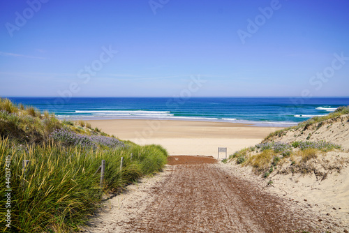 sandy path access beach on a sunny day with blue sky and waves in lacanau Atlantic in france in summer day