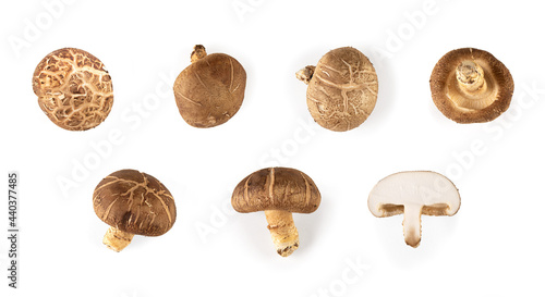 
Shiitake mushrooms isolated on a white background