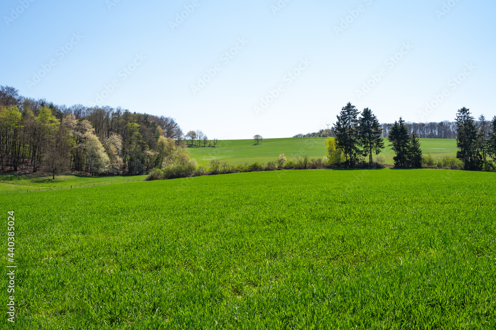 Rolling landscape with grass, trees and beautiful sky