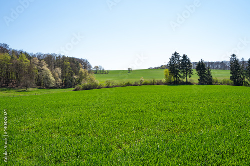 Rolling landscape with grass, trees and beautiful sky