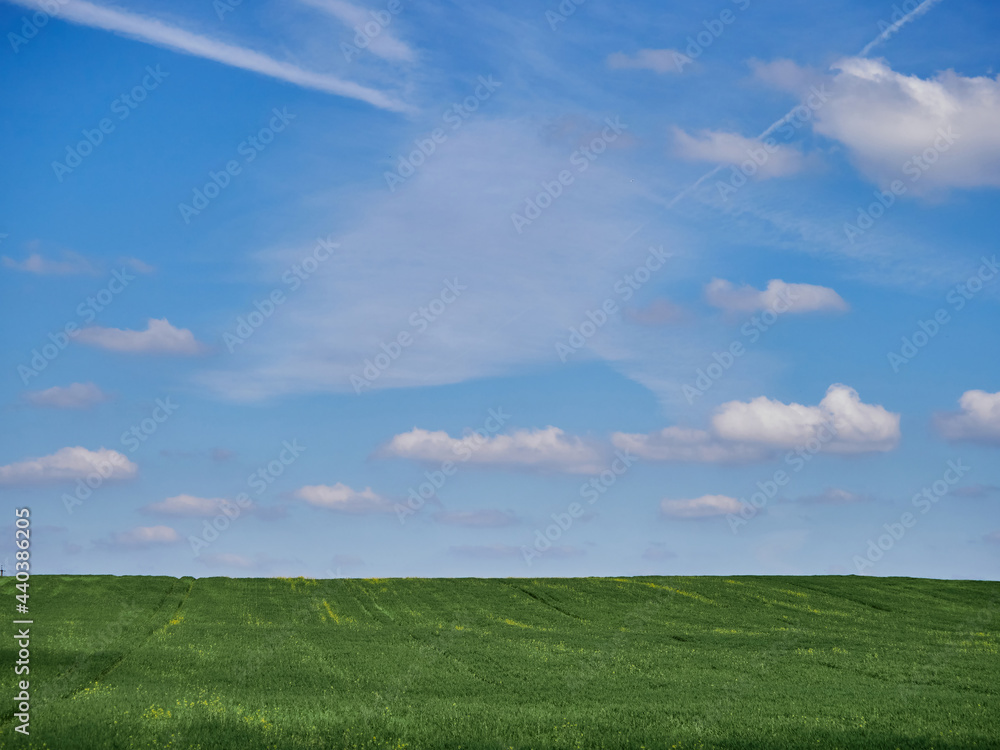 Scenery. Blue sky with white clouds and green grassy field. Scenery. Blue sky with white clouds and green grassy field.