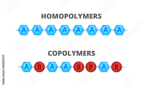 Vector scientific illustration, types of polymers. Homopolymers and copolymers isolated on white. Homopolymers formed by a single type of monomer, copolymers formed by two different types of monomers.