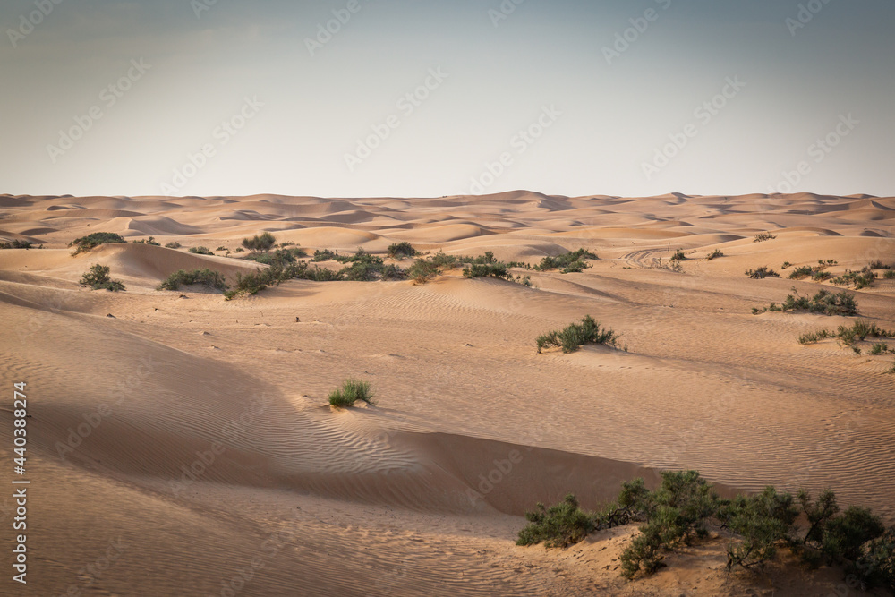 Tour durch die Wüste in der Nähe von Dubai