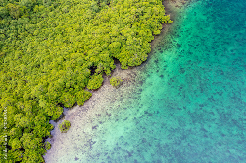 Tropical Island Aerial View. Wild coastline lush exotic green jungle. Red Frog Beach in Bastimentos Island, Bocas del Toro, Central America, Panama. photo