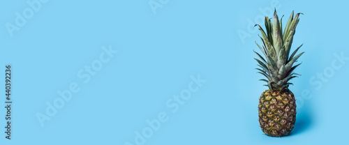 Vertical picture of fresh ripe pineapple on a blue background. Banner