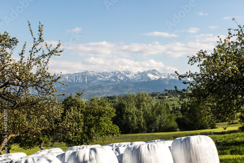 View of the Tatra Mountains from Bansk Wyzna photo