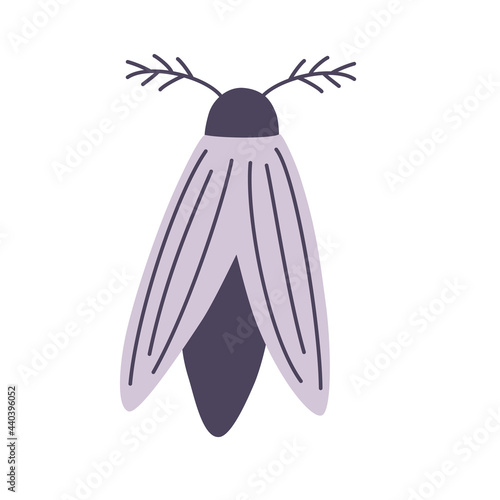 Night Moth. Element for Halloween. Magic, occult, greeting card, print, poster. Vector cartoon illustration. photo