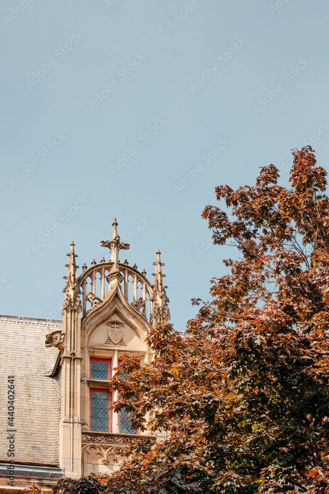 View of the roof and decorated window of an old building on the streets in Paris, France. European architectural elements. Foreground tree and foliage