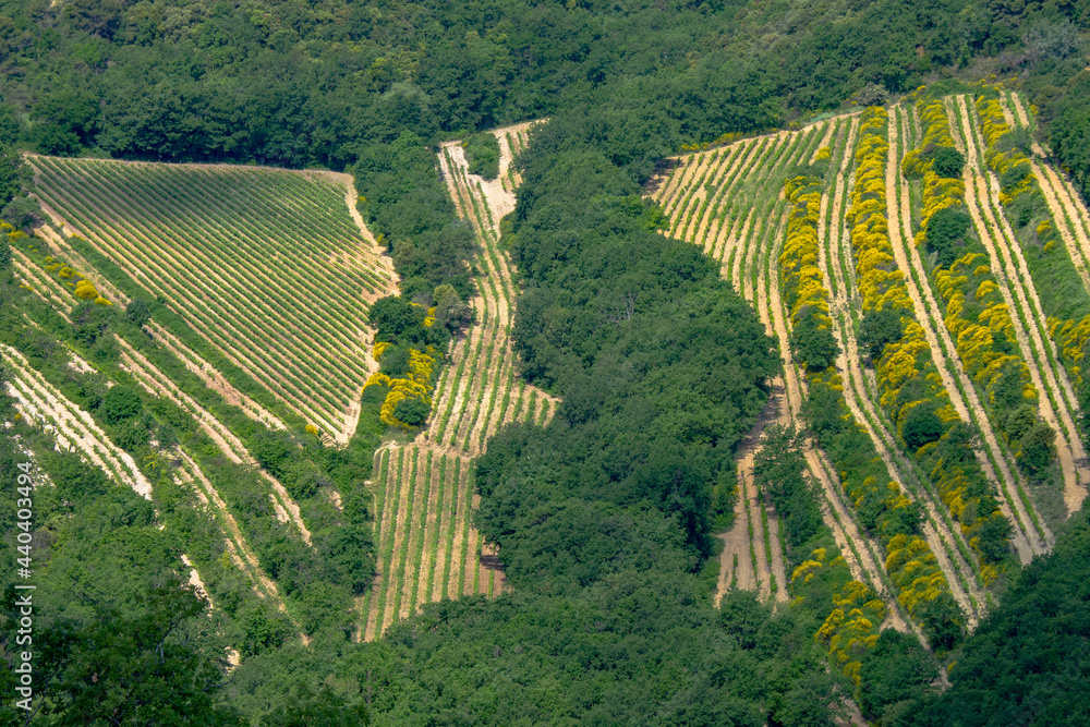 Φωτογραφία Les dentelles de Montmirail in the Vaucluse and the surrounding vineyards in one